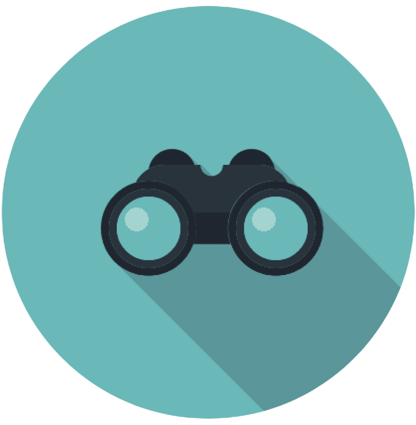 Vision Icon